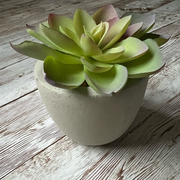 โ๐ผ๐ World Market Faux Succulent Mini Plants - Picture 3 of 14
